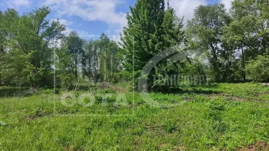 Участок в Воронежская область, Новоусманский район, Орловское с/пос, ... - Фото 1