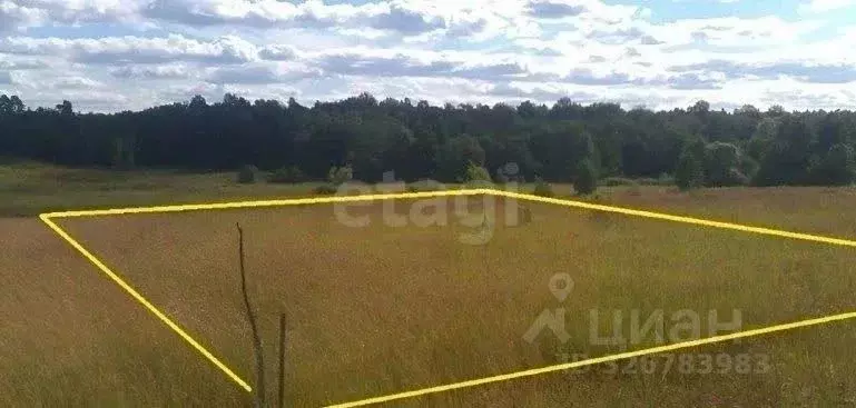 Участок в Ставропольский край, Шпаковский муниципальный округ, с. ... - Фото 2