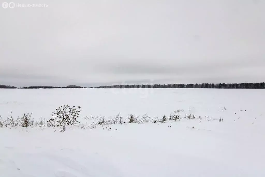 Участок в Каменское муниципальное образование (8 м) - Фото 0