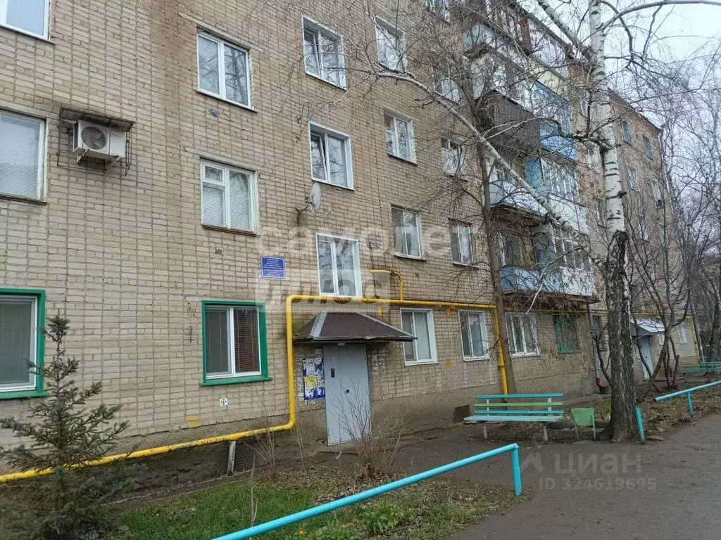 1-к кв. Оренбургская область, Бузулук 2-й мкр, 29 (29.9 м) - Фото 1