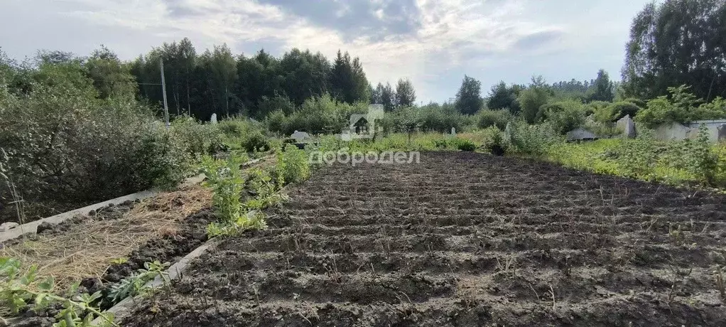 Участок в Свердловская область, Верхняя Пышма городской округ, пос. ... - Фото 1