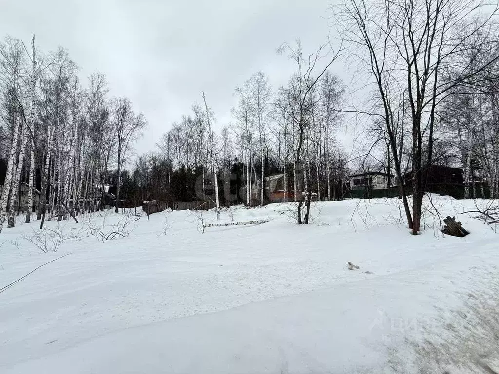 Участок в Москва пос. ДСК Мичуринец, ул. Энгельса, 48А (10.0 сот.) - Фото 1