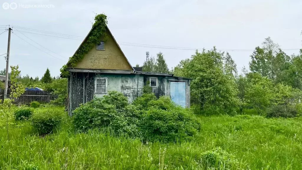 Участок в Кусинское сельское поселение, садоводческий массив Кусино (5 ... - Фото 1