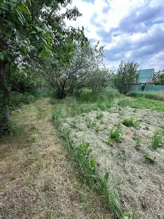 Участок 6 сот. (СНТ, ДНП) - Фото 0