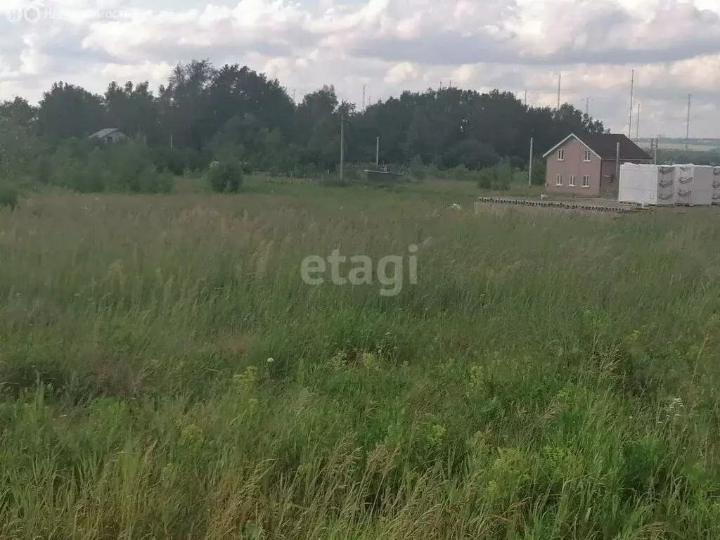 Участок в Нижегородская область, Володарский муниципальный округ, ... - Фото 1