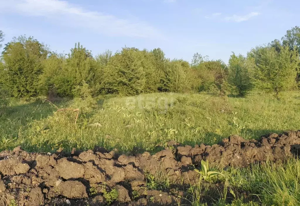 Участок в Адыгея, Майкоп городской округ, пос. Северный ул. Новая ... - Фото 0