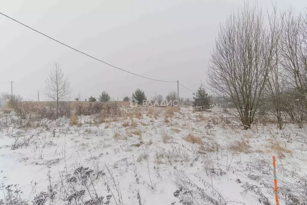 Участок в Владимирская область, Суздальский район, Новоалександровское ... - Фото 1