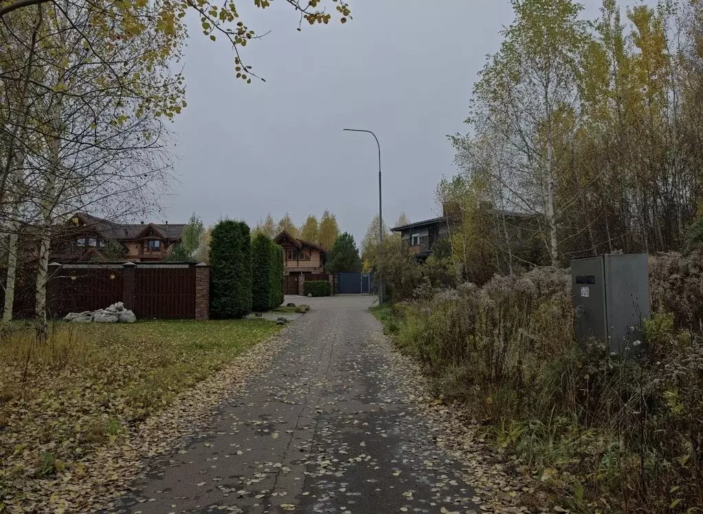 Участок в Москва Первомайское поселение, д. Фоминское, ул. Березовая ... - Фото 2