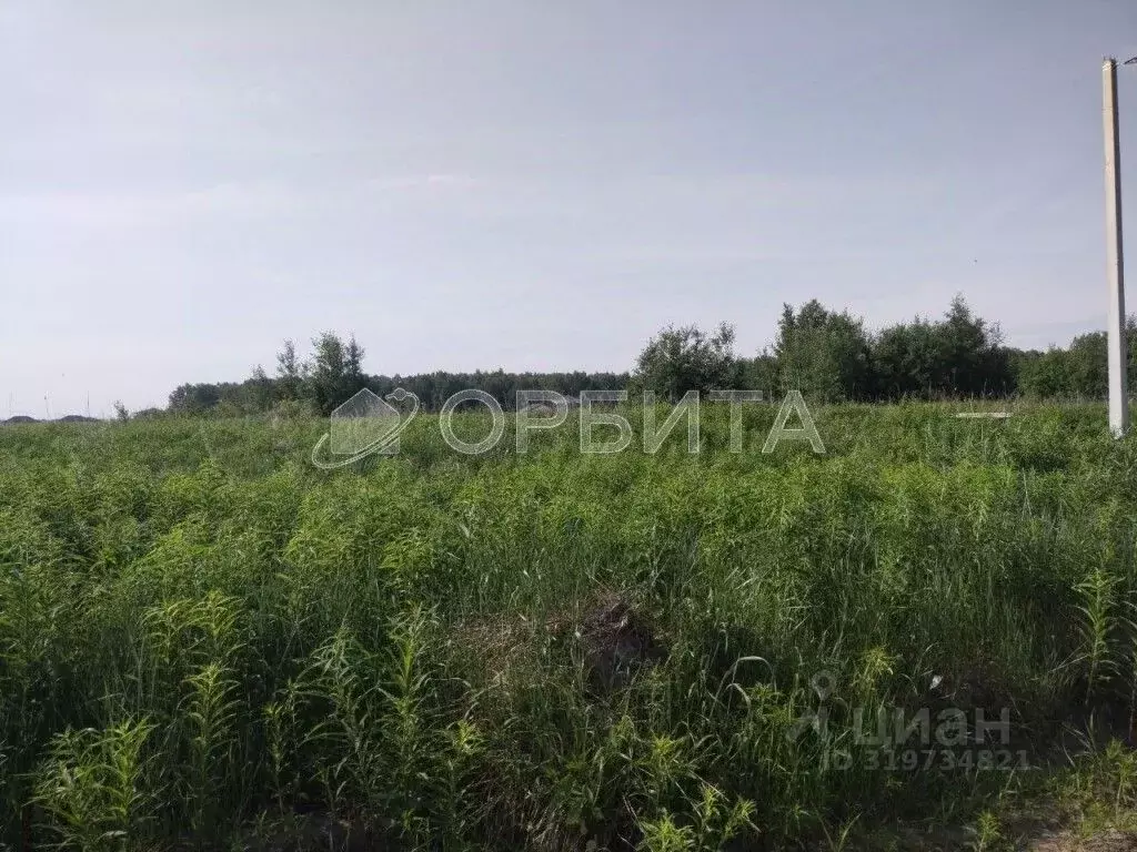 Участок в Тюменская область, Тюменский район, с. Каменка  (20.0 сот.) - Фото 0