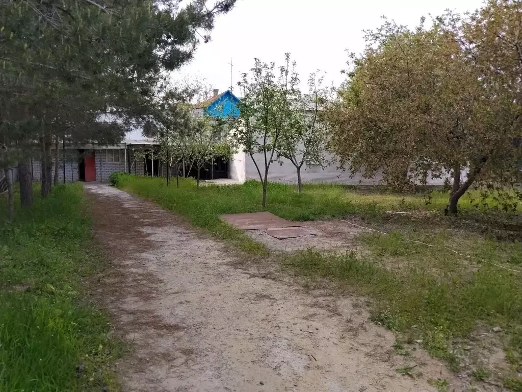 Дом в Волгоградская область, Волгоград Прилукская ул. (242 м) - Фото 1