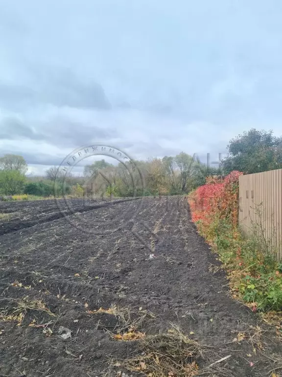 Участок в Курская область, Октябрьский район, Катыринский сельсовет, ... - Фото 1