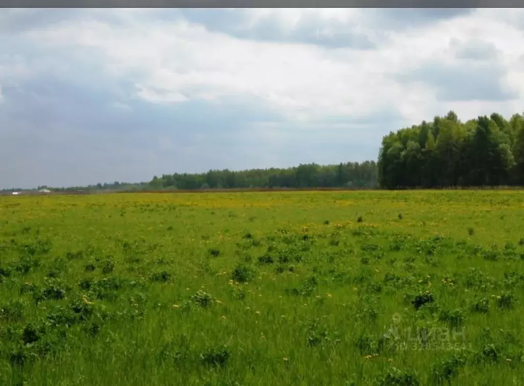 Участок в Краснодарский край, Тимашевск Промышленная ул. (101.86 сот.) - Фото 0