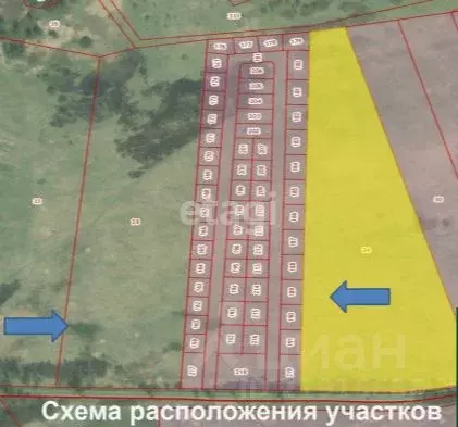 Участок в Калининградская область, Гурьевский муниципальный округ, ... - Фото 1