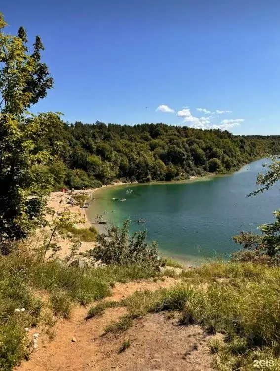 Участок в Калининградская область, Янтарный городской округ, пос. ... - Фото 0