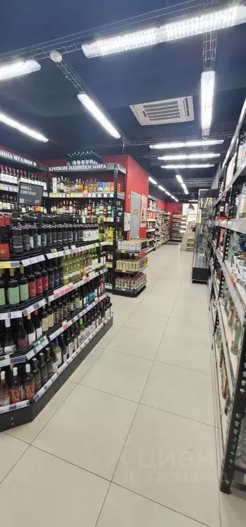 Торговая площадь в Санкт-Петербург ул. Коллонтай, 24к2 (87 м) - Фото 1