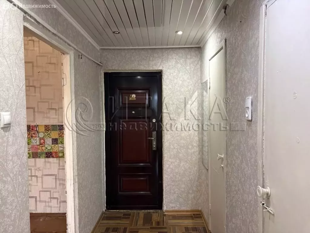 1-комнатная квартира: деревня Шамокша, 6 (33.3 м) - Фото 2