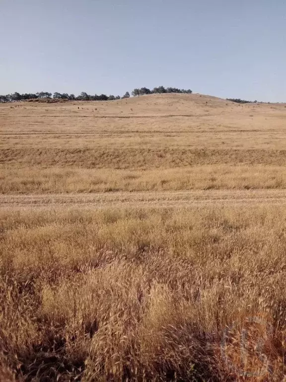 Участок в Крым, Сакский район, Ореховское с/пос, южнее СК Береговой ... - Фото 1