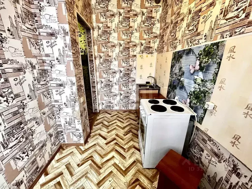 1-к кв. Владимирская область, Гусь-Хрустальный Минская ул., 19 (24.2 ... - Фото 1