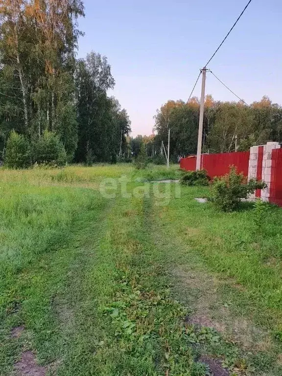 Участок в Курганская область, Кетовский муниципальный округ, д. Лукино ... - Фото 0