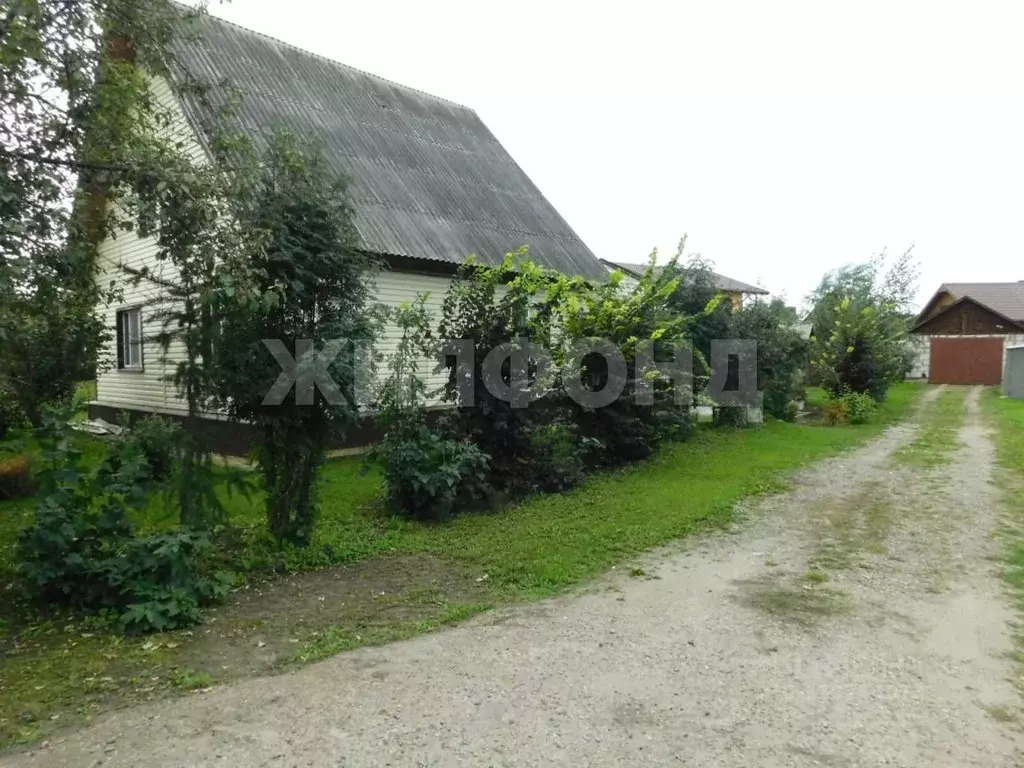 Дом в Алтайский край, Первомайский район, с. Бобровка Партизанская ул. ... - Фото 2