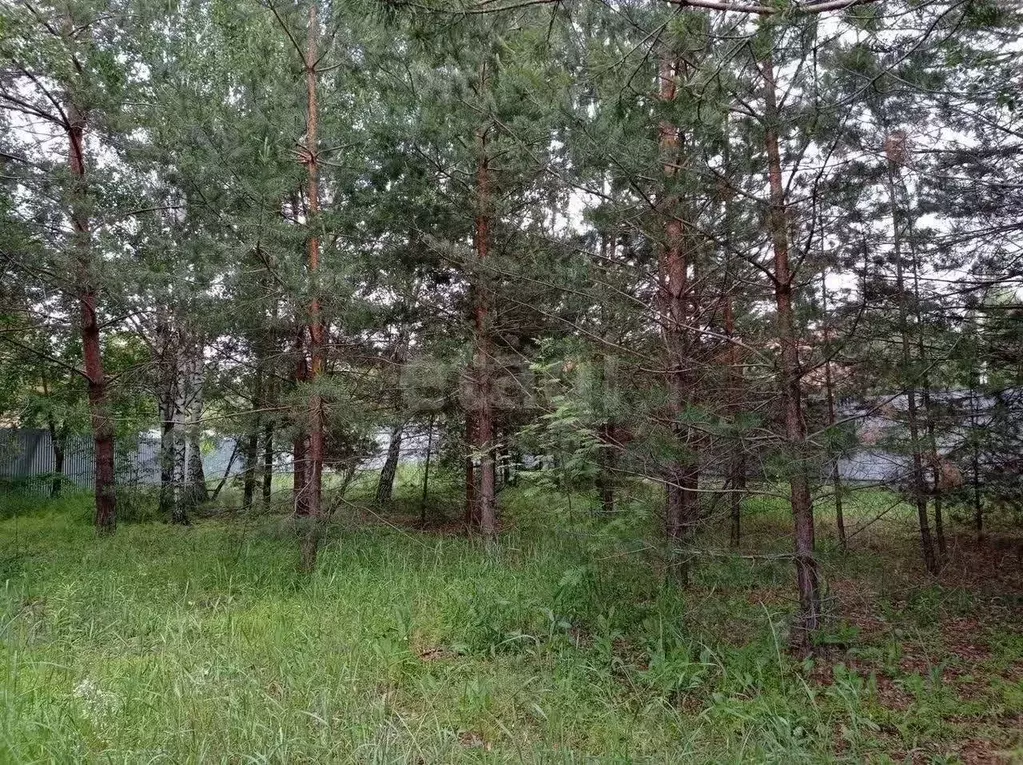 Участок в Воронежская область, Воронеж ул. Оскольская, 28 (9.65 сот.) - Фото 1