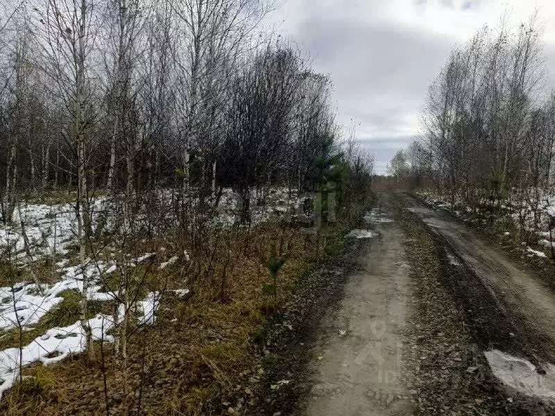 Участок в Томская область, Томский район, с. Корнилово ул. Вербанова ... - Фото 1