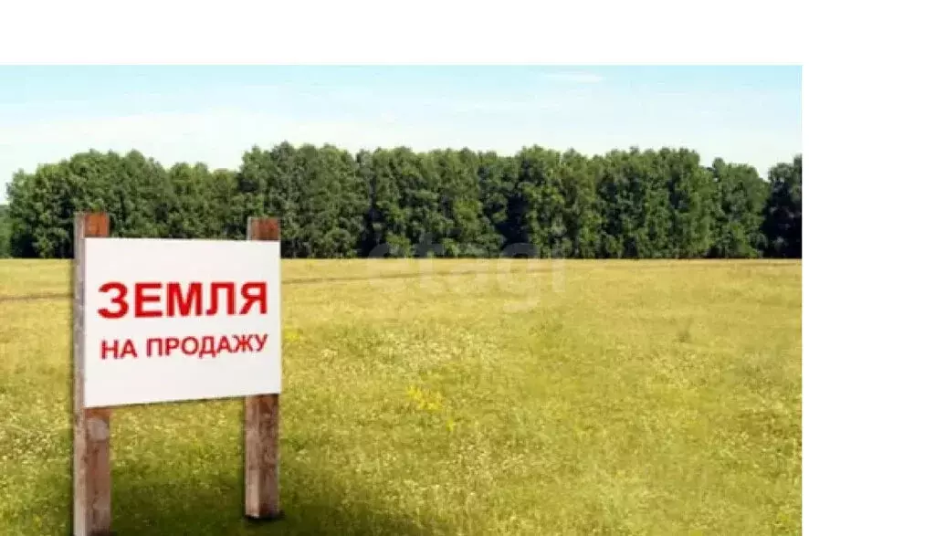 Участок в Тарбагатайский район, сельское поселение Заводское, СТ ... - Фото 1