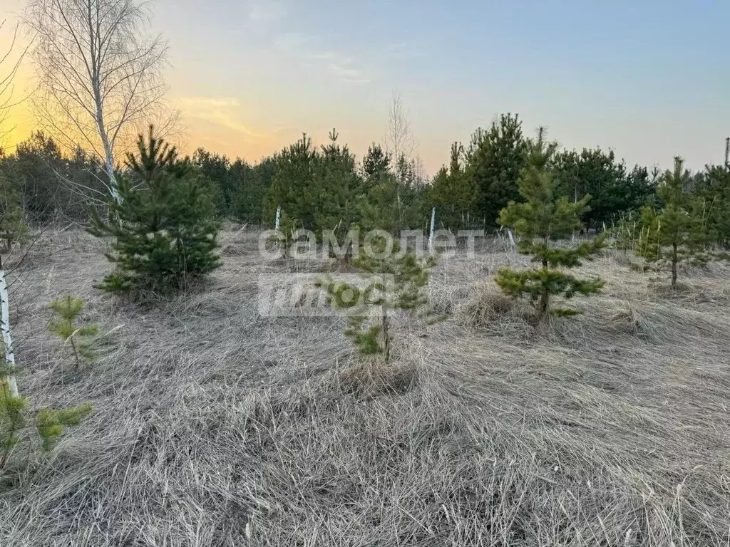 Участок в Воронежская область, Рамонский район, Новоживотинновское ... - Фото 1