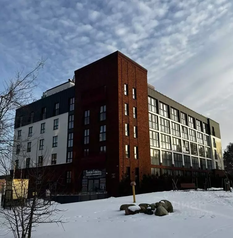 Студия Калининградская область, Светлогорск Олимпийский бул., 3 (44.6 ... - Фото 1