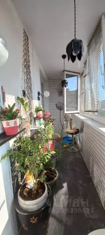 Квартира, 2 комнаты, 34.2 м - Фото 0