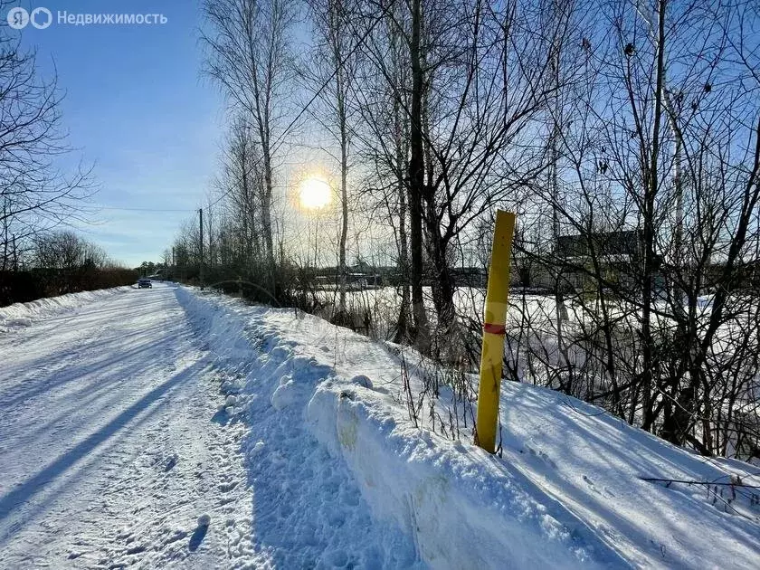 Участок в Тюменский район, посёлок Новотарманский (15 м) - Фото 0