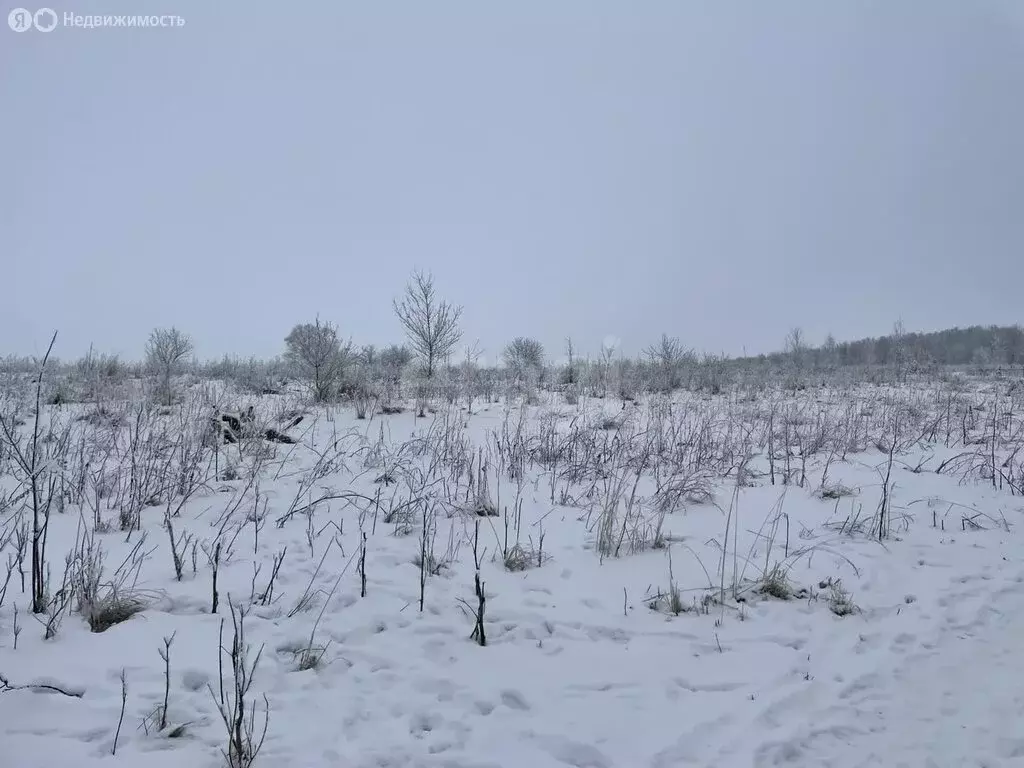 Дом в Саранск, садоводческое товарищество Фрегат (30 м) - Фото 0