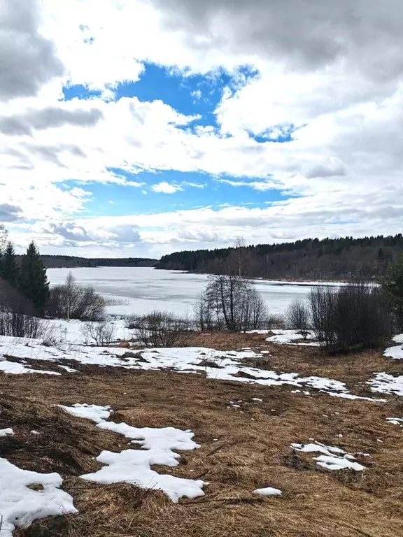Участок в Новгородская область, Валдайский муниципальный округ, ... - Фото 1