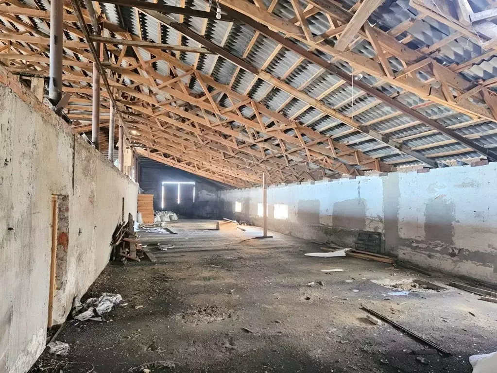 Помещение свободного назначения в Алтайский край, Благовещенский ... - Фото 1