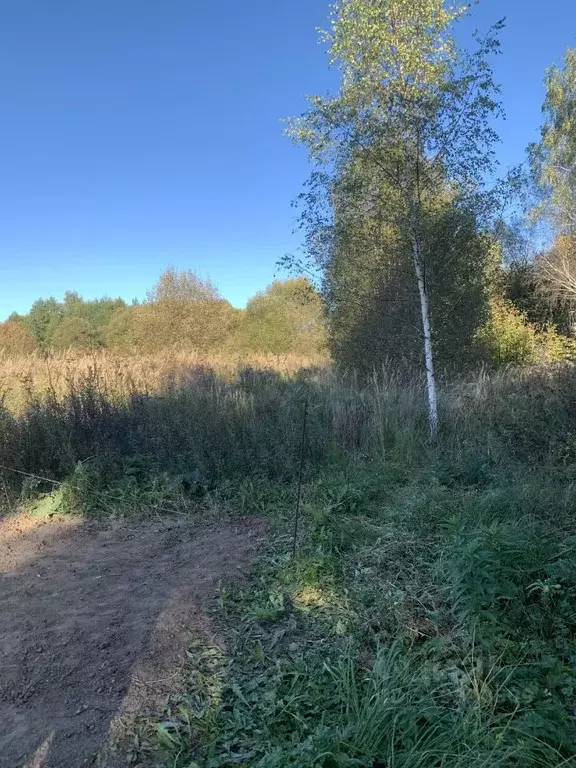 Участок в Калужская область, Ферзиковский район, Грабцево с/пос, с. ... - Фото 2