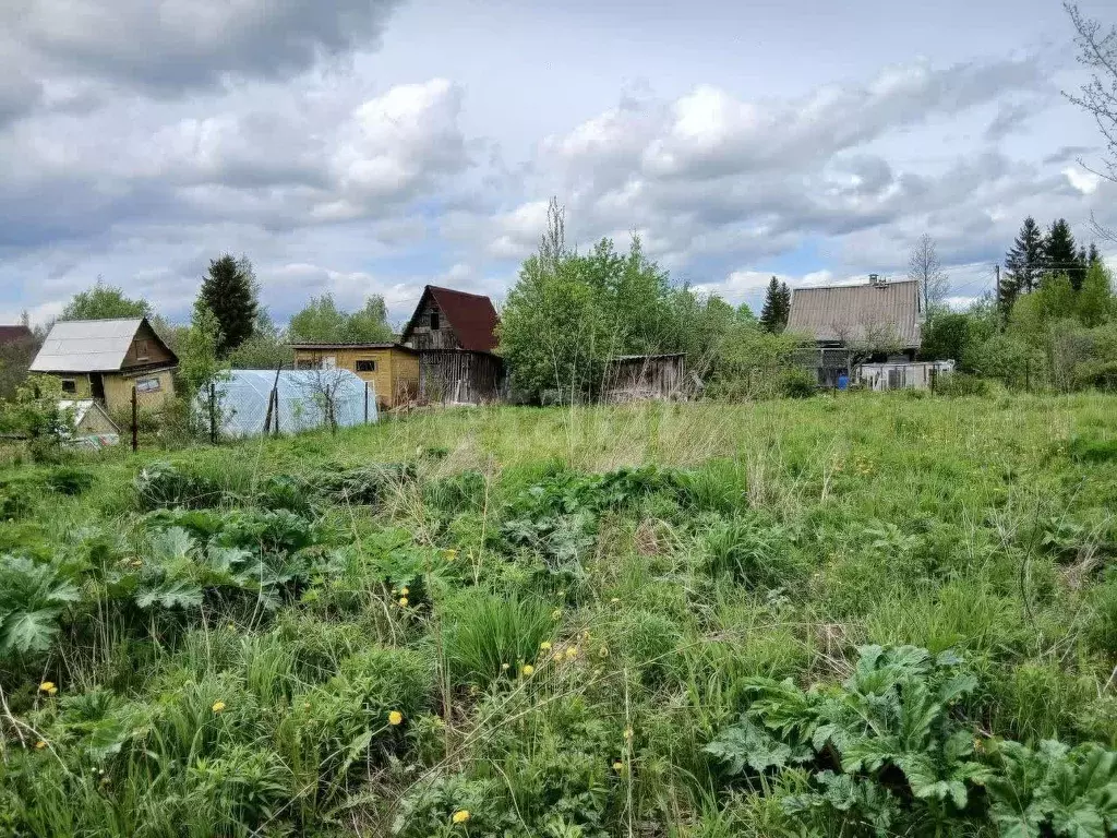 Участок в Ленинградская область, Волховский район, Кисельнинское ... - Фото 2