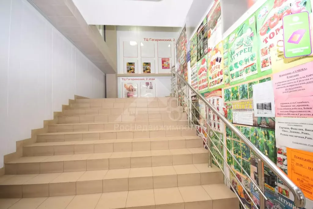 Офис в Владимирская область, Кольчугино ул. Гагарина, 31 (400 м) - Фото 2