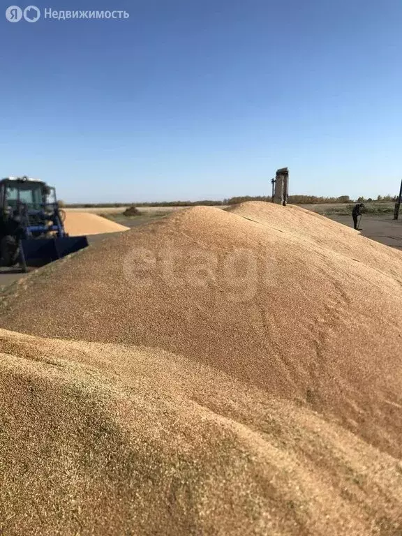 Участок в Шербакульский район, территория 2-е Комиссаровское (55000 м) - Фото 2