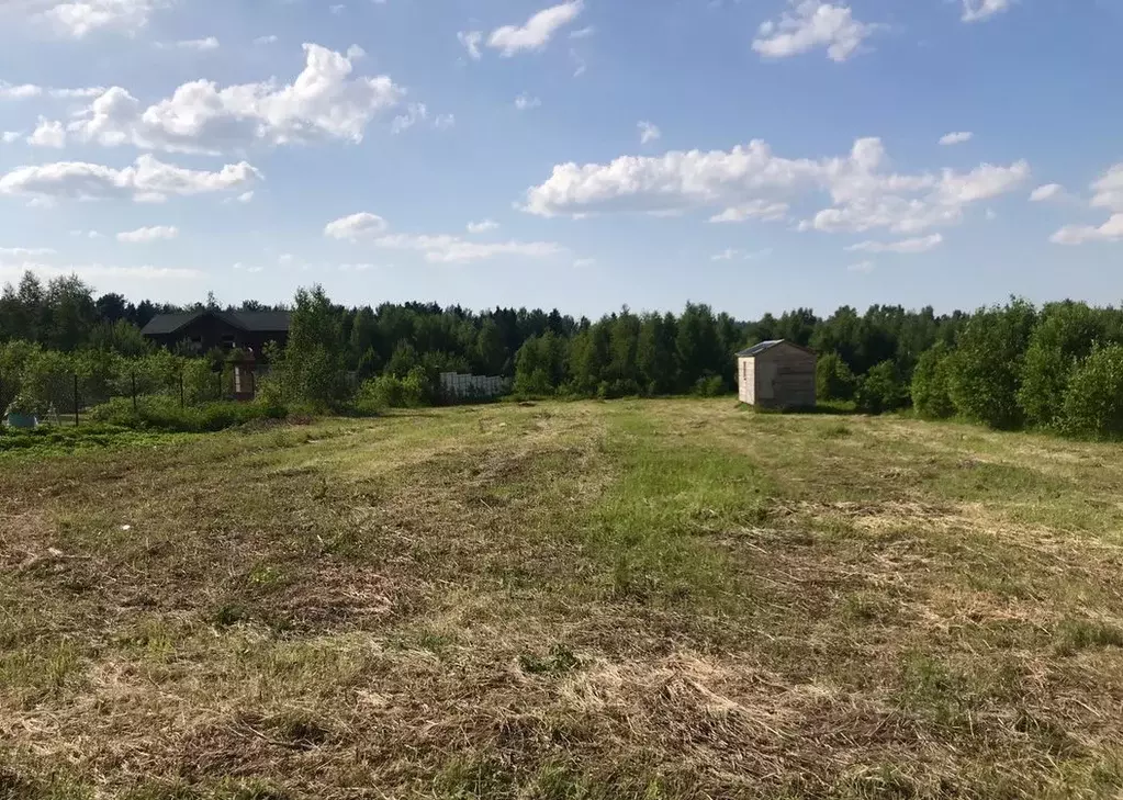 Участок в Владимирская область, Кольчугинский район, Раздольевское ... - Фото 0