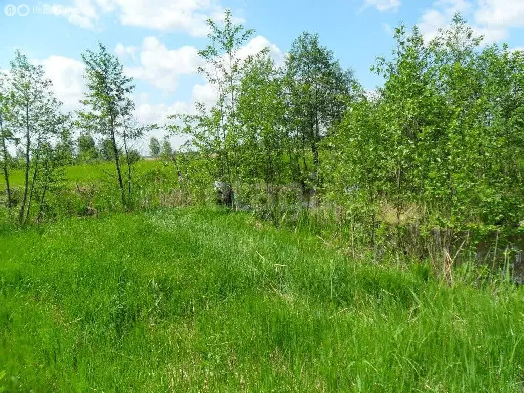 Участок в Рыбинск, Южная улица (9 м) - Фото 2