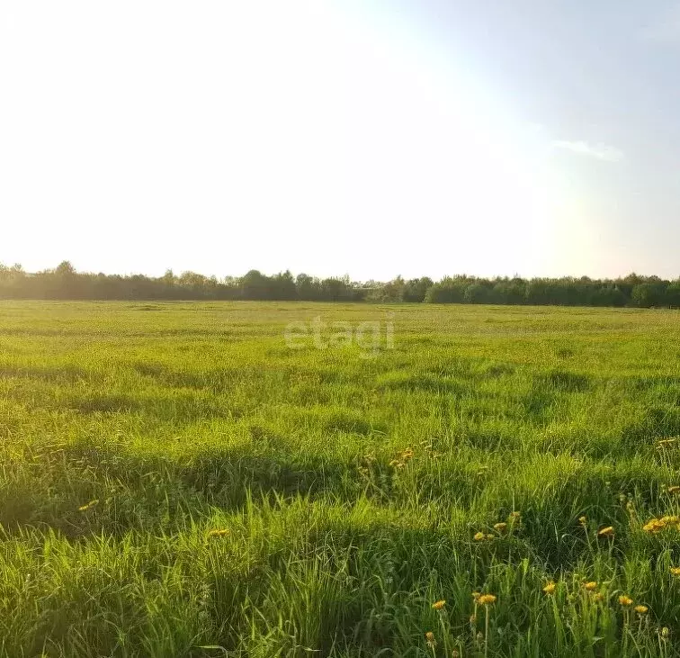 Участок в Красноярский край, Манско-Уярский муниципальный округ, ... - Фото 2
