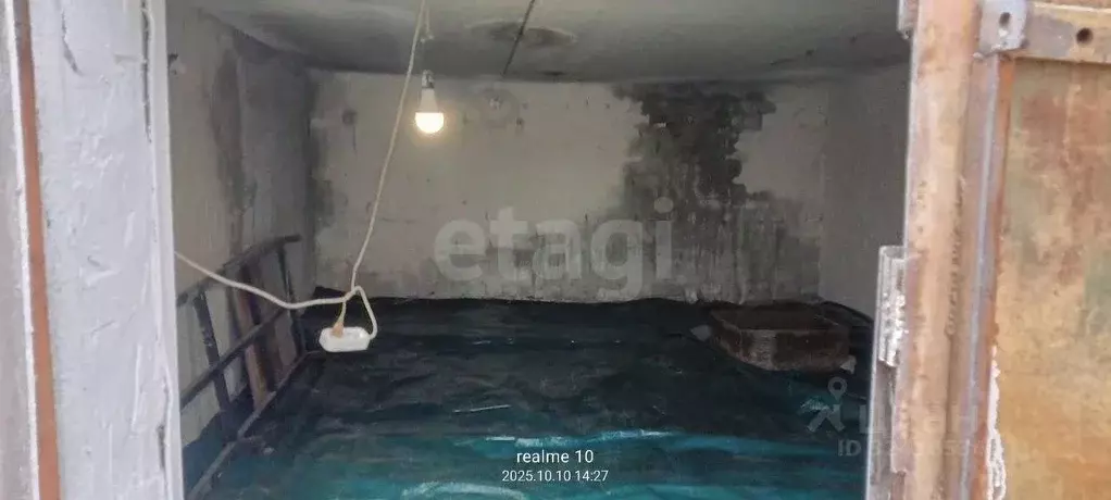 Гараж в Тюменская область, Тюмень Судостроитель СНТ, ул. Центральная, ... - Фото 2