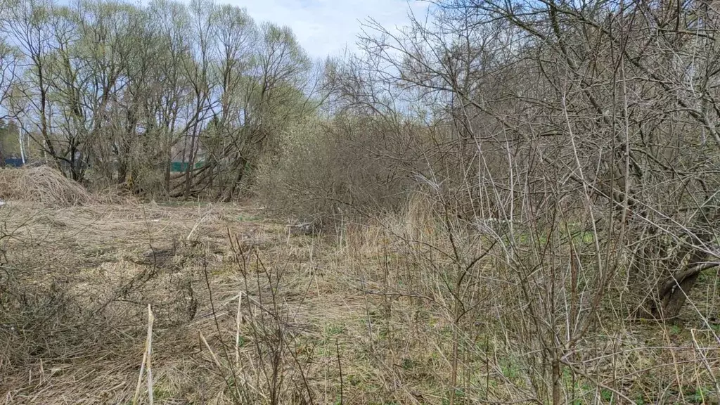 Участок в Московская область, Домодедово городской округ, д. Юрьевка  ... - Фото 1