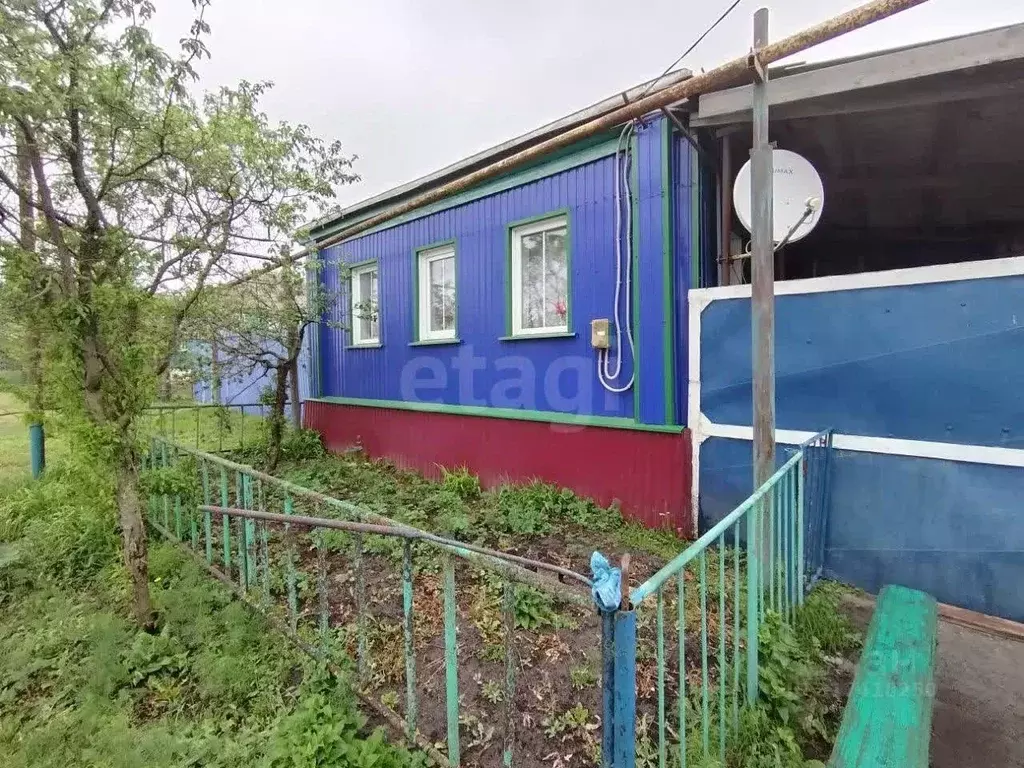 Дом в Белгородская область, Новооскольский муниципальный округ, с. ... - Фото 0