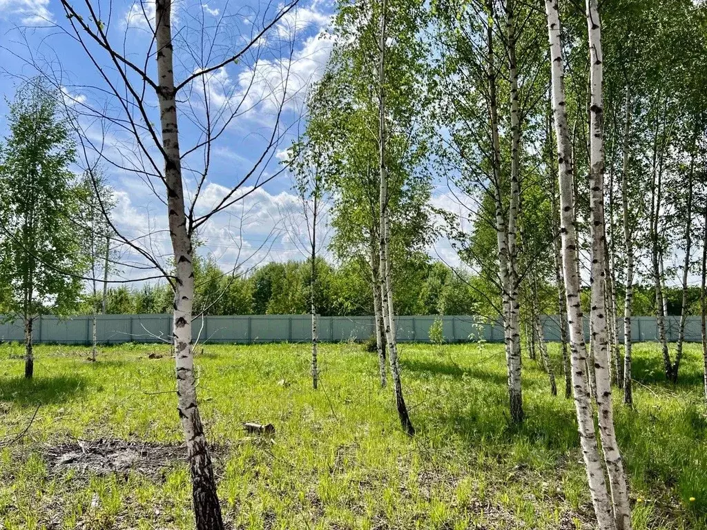 Участок в Московская область, Сергиево-Посадский городской округ, с. ... - Фото 0