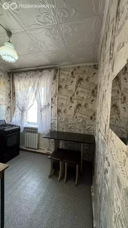 1-комнатная квартира: село Икряное, Советская улица, 40 (29.6 м) - Фото 2