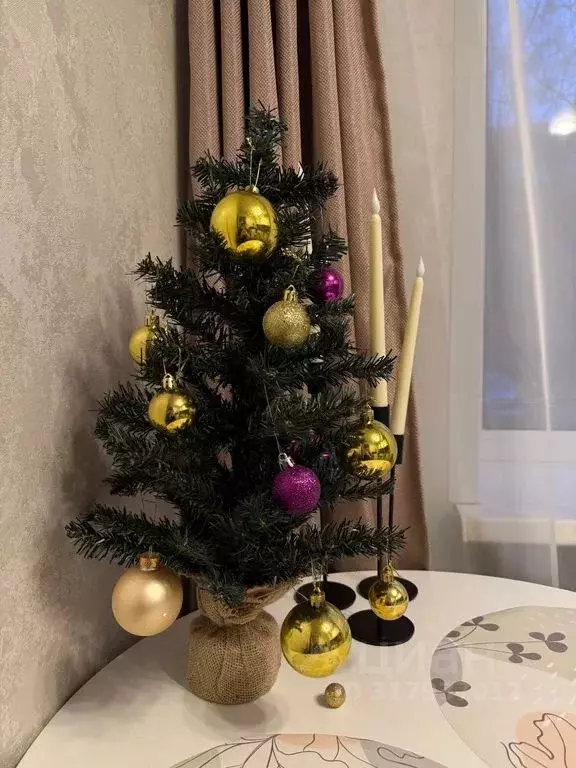 1-к кв. Псковская область, Псков Октябрьский просп., 33А (33.0 м) - Фото 1