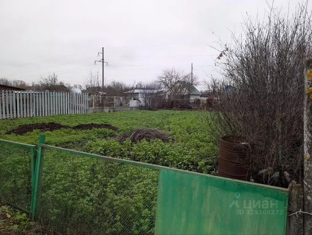 Участок в Ульяновская область, Мелекесский район, Лебяжинское с/пос, ... - Фото 1