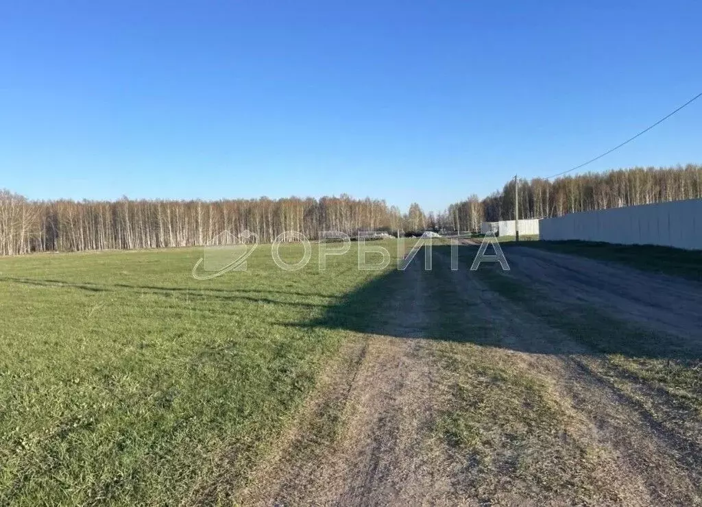 Участок в Тюменская область, Исетский муниципальный округ, д. ... - Фото 1