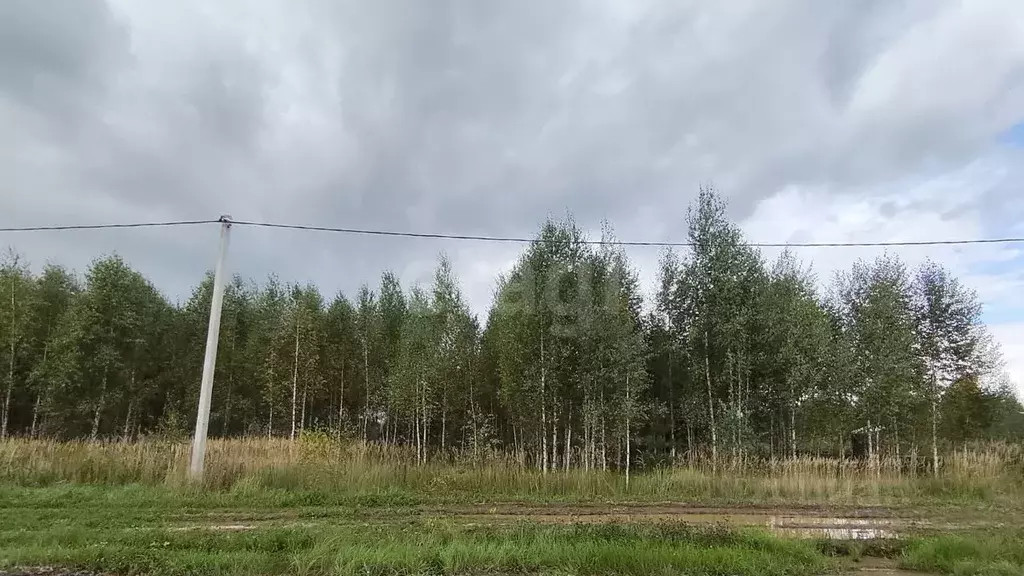 Участок в Марий Эл, Йошкар-Ола городской округ, д. Шоя-Кузнецово ул. ... - Фото 0